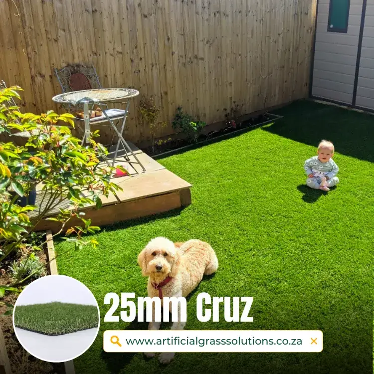 25mm Cruz Artificial grass