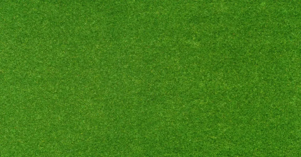 How to Create A Putting Green in Your Yard