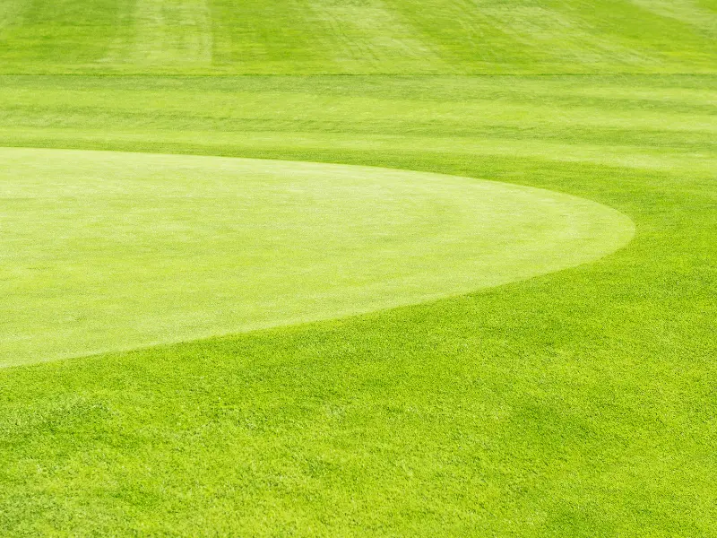 Putting Green in Your Yard